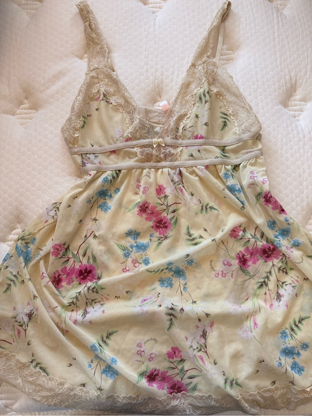 La Vie En Rose Cream Floral Lace-Trim Chemise with Pink & Blue Flowers